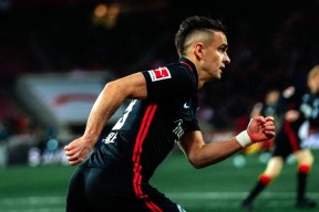 lck投注平台 -冲刺阶段奥兰多魔术备战德甲，单刀错失细节曝光，震撼外界，临场指挥获称赞 